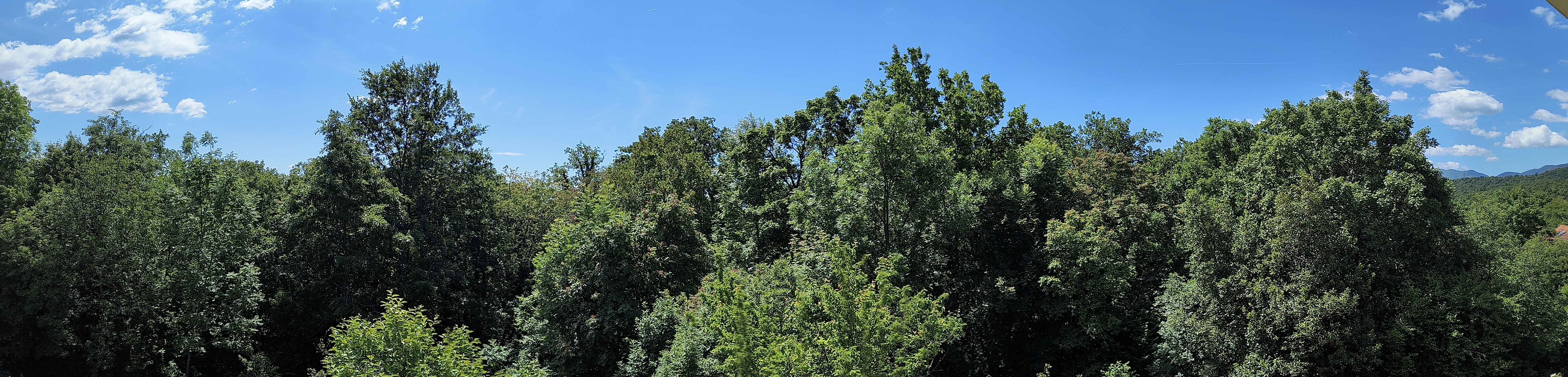 My take on AI, coding and WordPress